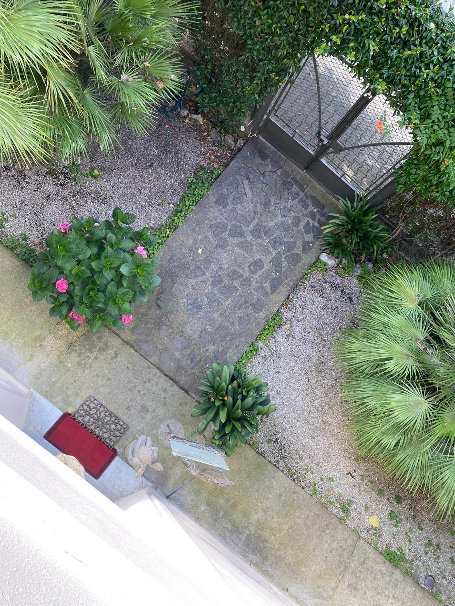 Casa Simonetti Bed & Breakfast Torre del Lago Puccini Exterior foto
