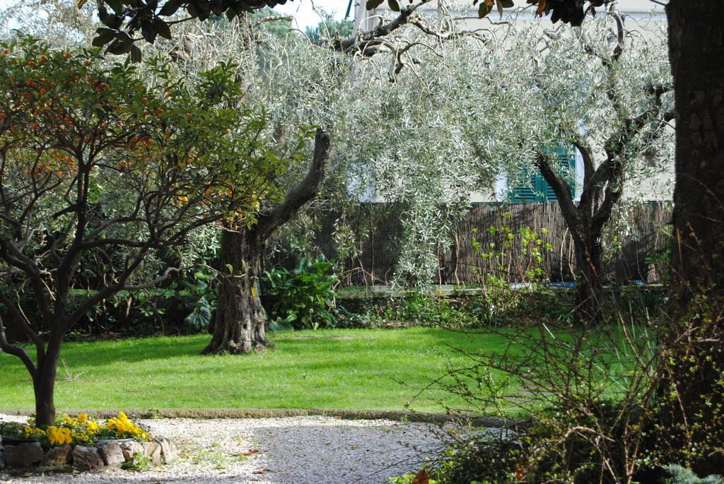 Casa Simonetti Bed & Breakfast Torre del Lago Puccini Exterior foto
